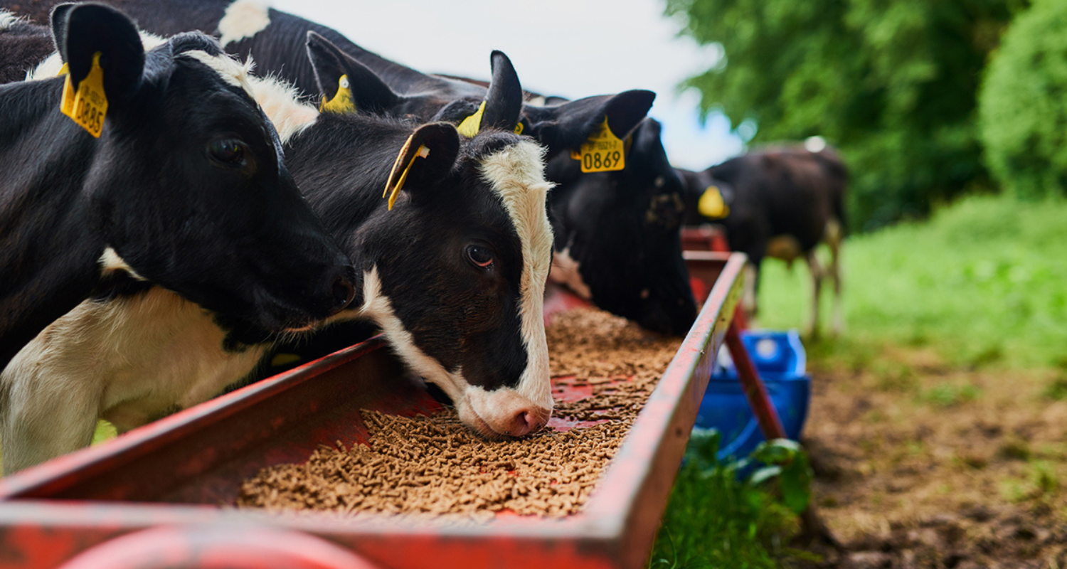 Untitled design - 2024-05-10T141630.395 A successful Ag Equipment Manufacturing Company established for 14 years with a strong dealer network and consistent growth, ready for acquisition.