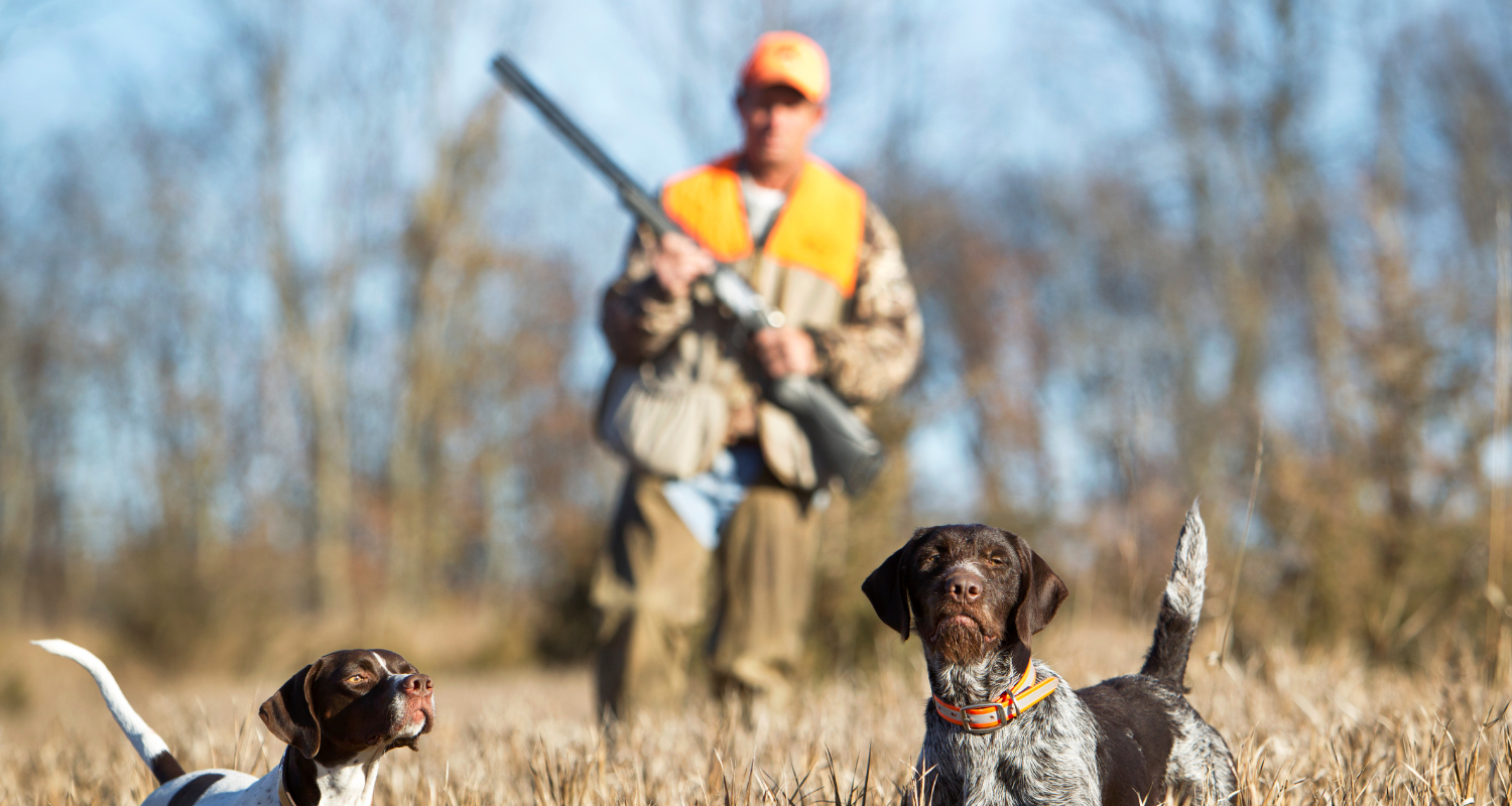 Untitled design (84) State-of-the-art vape, CBD, and cannabis edibles manufacturing unit with advanced equipment and technology.